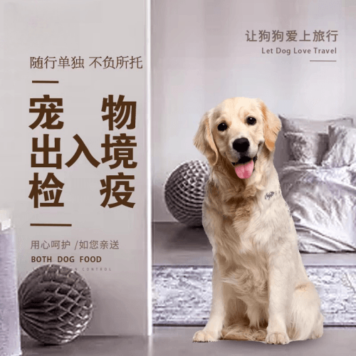 门头沟区宠物托运到哥伦比亚猫狗宠物入境规定和