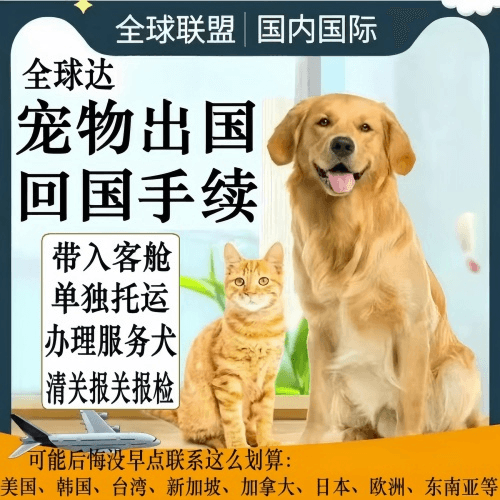 门头沟区宠物托运到柬埔寨宠物入境规定和要求