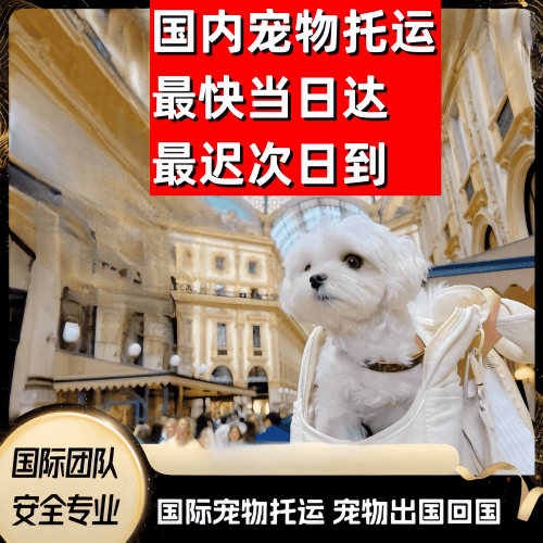 门头沟区到澳大利亚（澳洲）宠物入境规定和要求