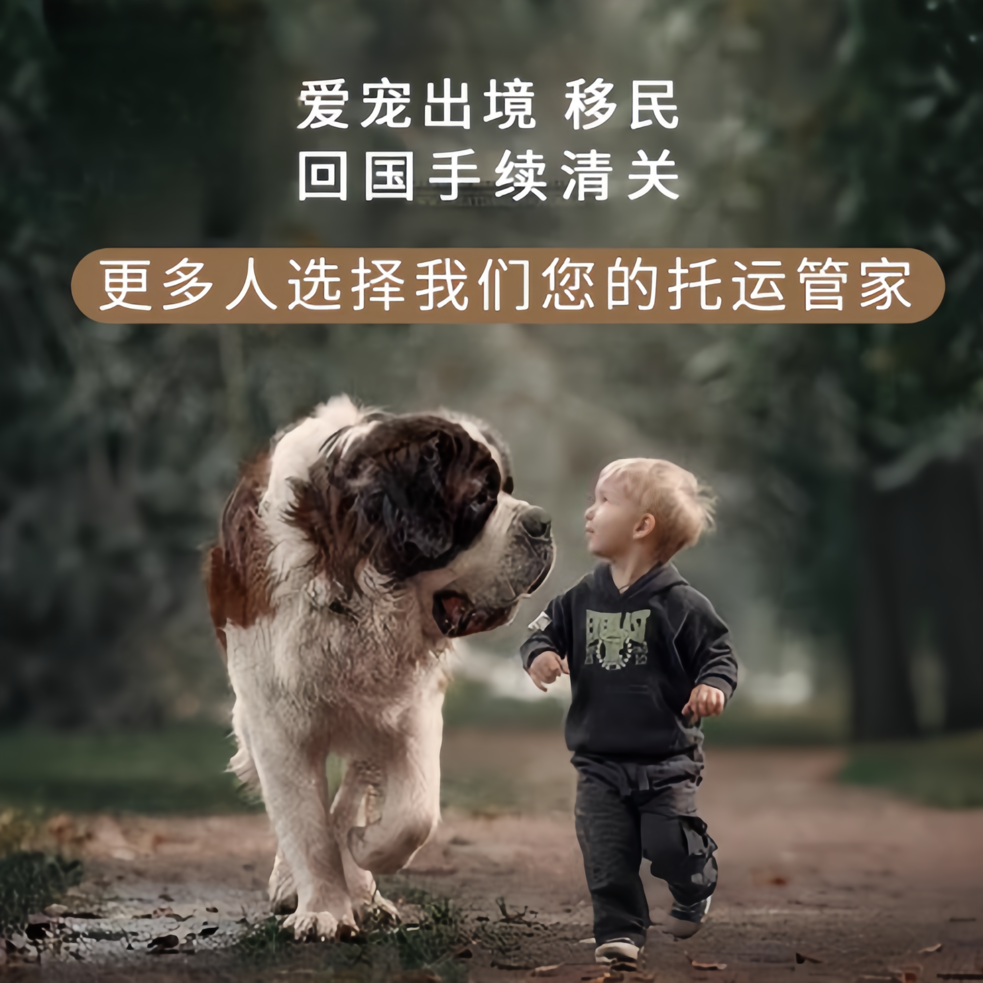 满财门头沟区宠物全球达宠物托运在遵守入境目的地政策的条件