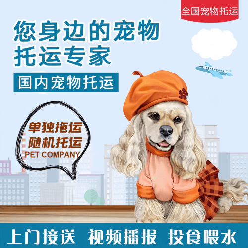 满财门头沟区宠物全球达宠物托运作为专业的宠物运输代理机构